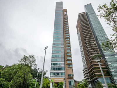 Park Avenue Rochester Header Image