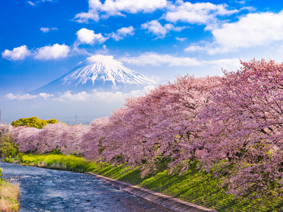 Bigstock Mt Fuji Japan And River In S 181746715 (1)